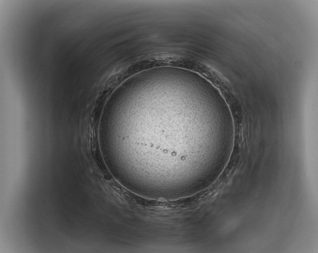 X0000115680917200911191051