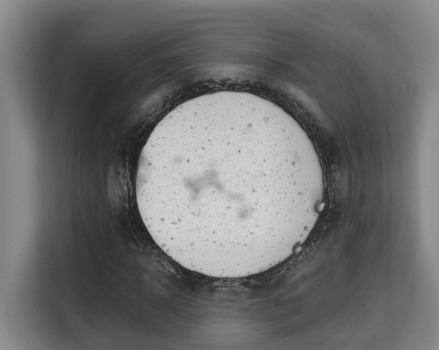 X0000115680918200911191051