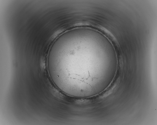 X0000115680929200911191051