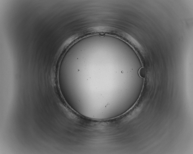 X0000115680930200911191051