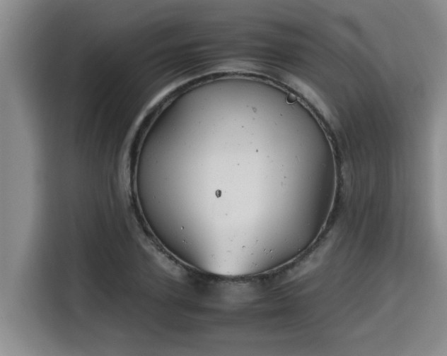 X0000115680931200911191051