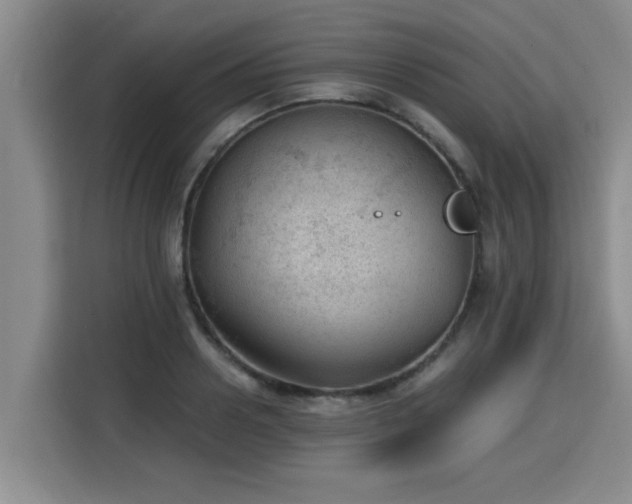 X0000115680938200911191051