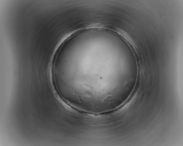 X0000115680941200911191051