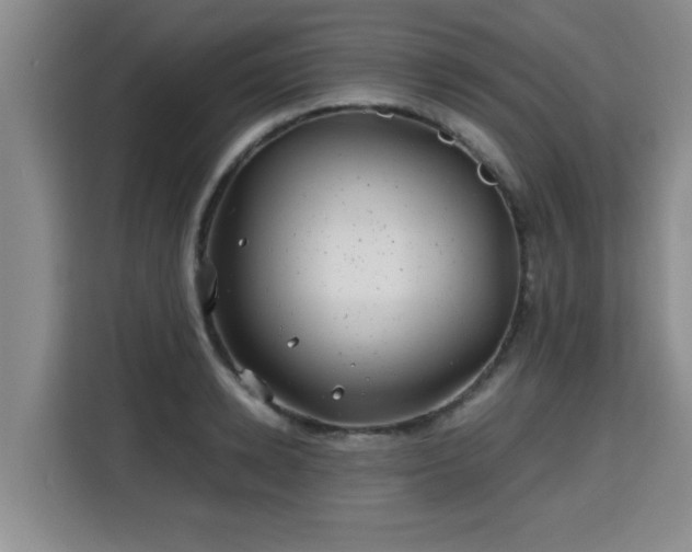 X0000115680942200911191051