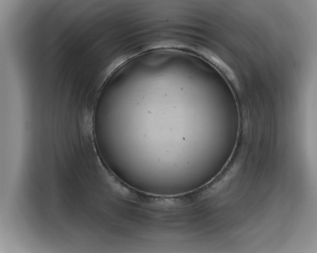 X0000115680945200911191051