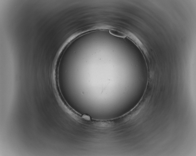 X0000115680947200911191051