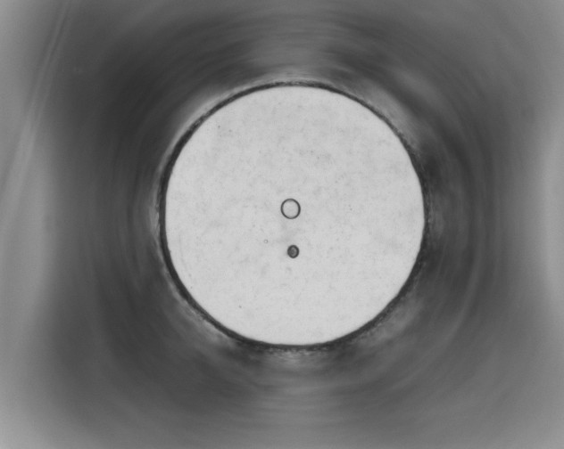 X0000115680950200911191051