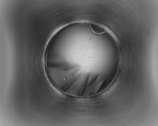 X0000115680951200911191051