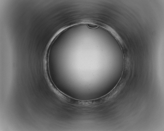 X0000115680955200911191051