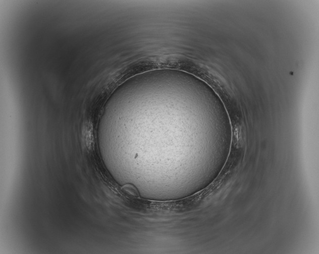 X0000115680963200911191050