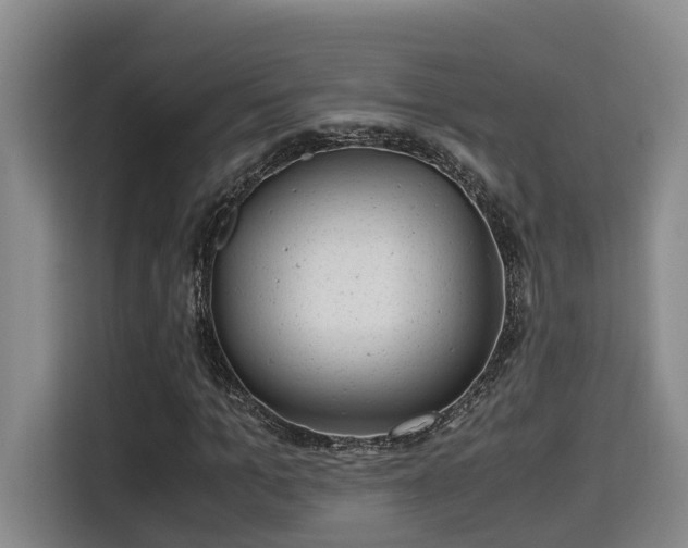 X0000115680965200911191050