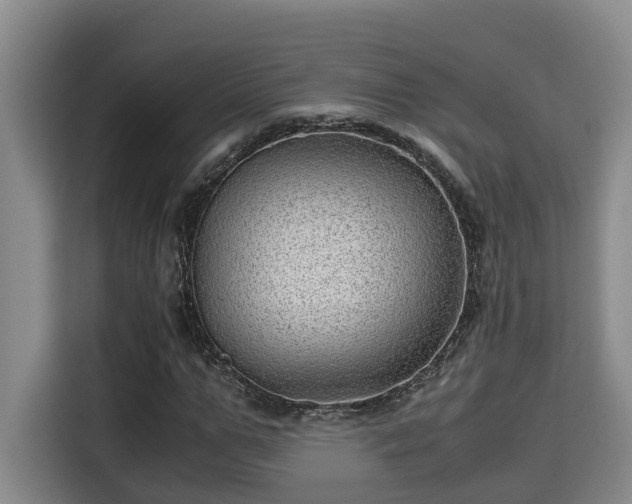 X0000115680967200911191050