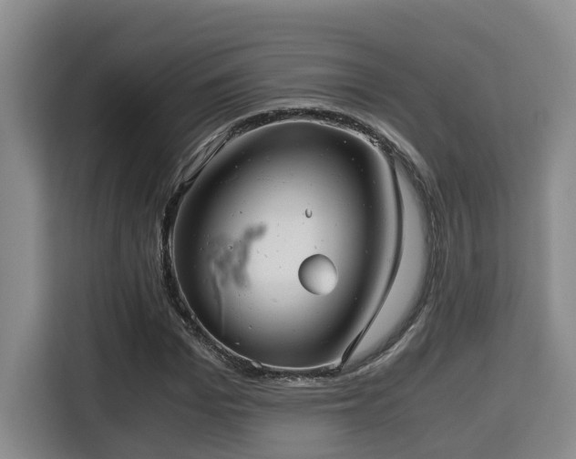 X0000115680969200911191050