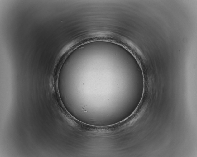 X0000115680970200911191050