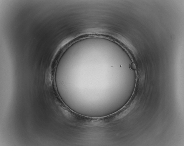 X0000115680974200911191050