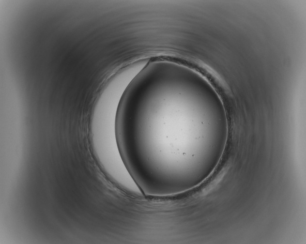 X0000115680977200911191050