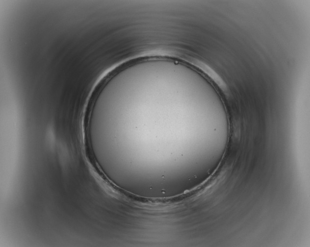 X0000115680980200911191050