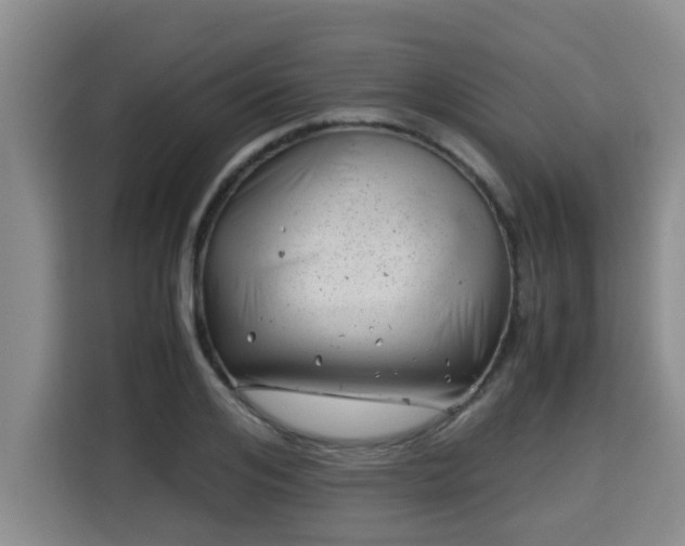 X0000115680984200911191050