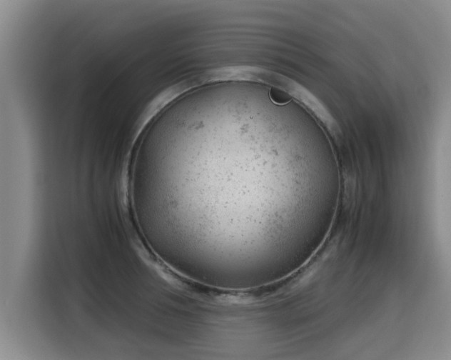 X0000115680994200911191050