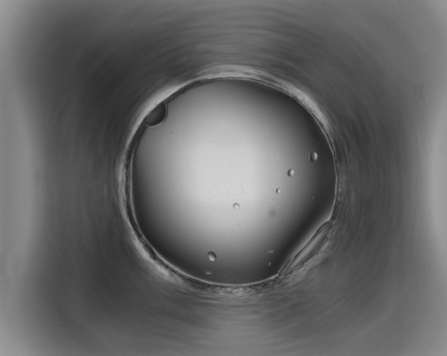 X0000115681003200911191050