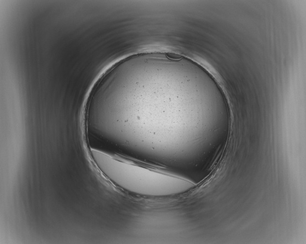 X0000115681008200911191050