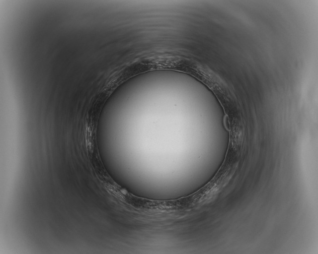 X0000115681010200911191049