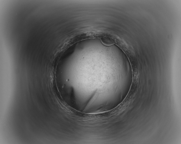 X0000115681012200911191049