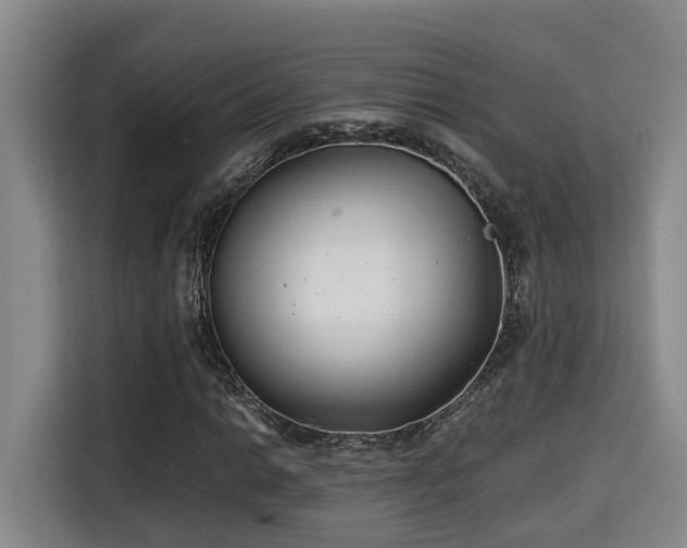 X0000115681014200911191049