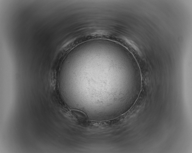 X0000115681015200911191049