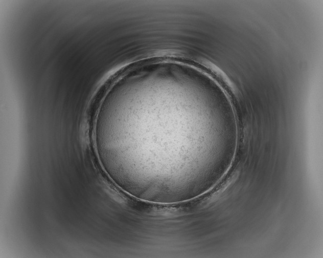 X0000115681019200911191049