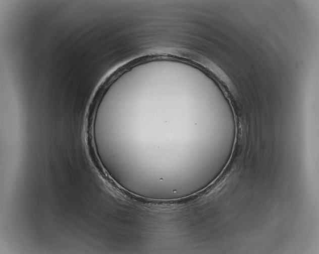 X0000115681020200911191049