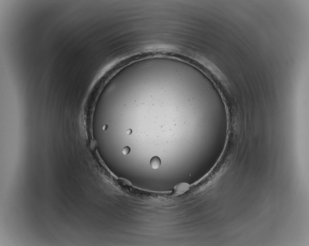 X0000115681022200911191049