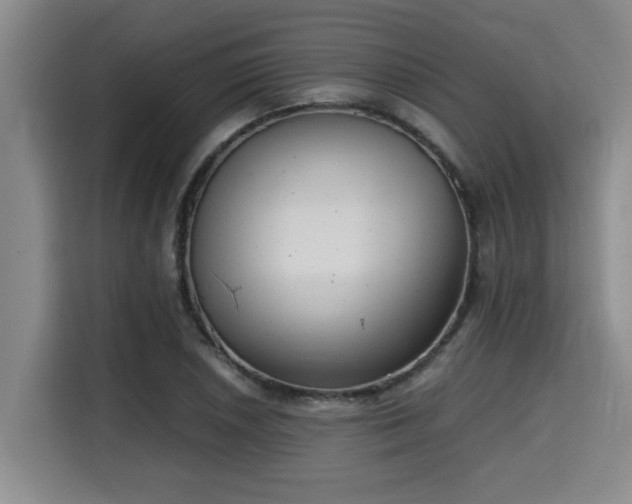 X0000115681026200911191049