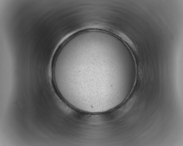 X0000115681028200911191050