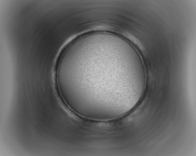 X0000115681029200911191050