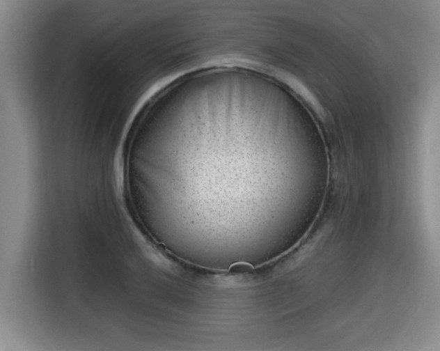 X0000115681032200911191050