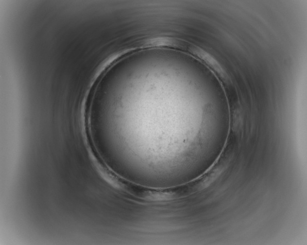 X0000115681039200911191050