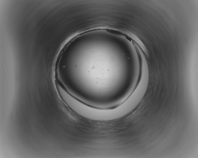 X0000115681051200911191050