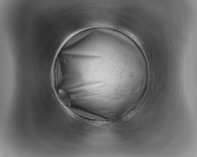 X0000115681056200911191050