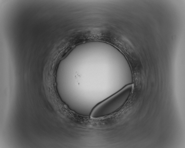 X0000115681057200911191049