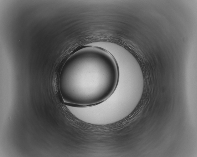 X0000115681060200911191049