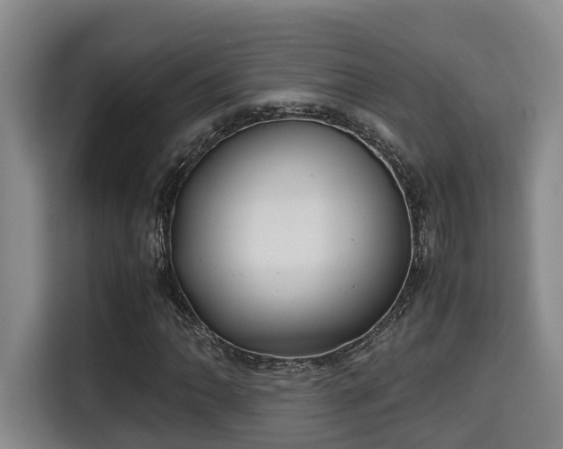 X0000115681062200911191049