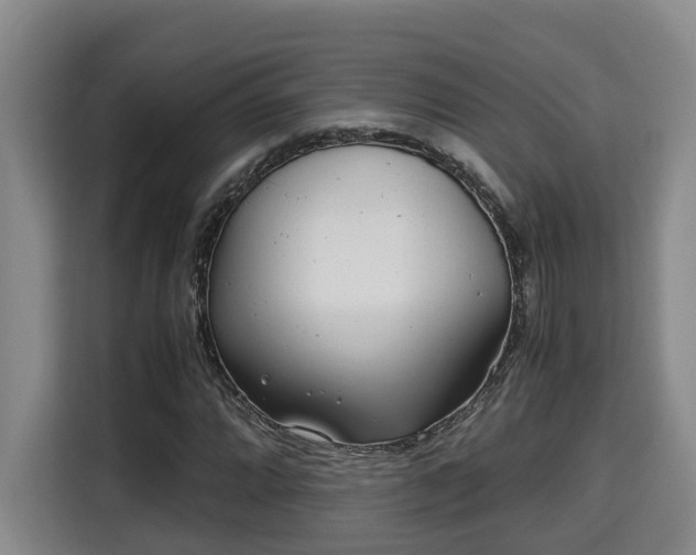 X0000115681064200911191049