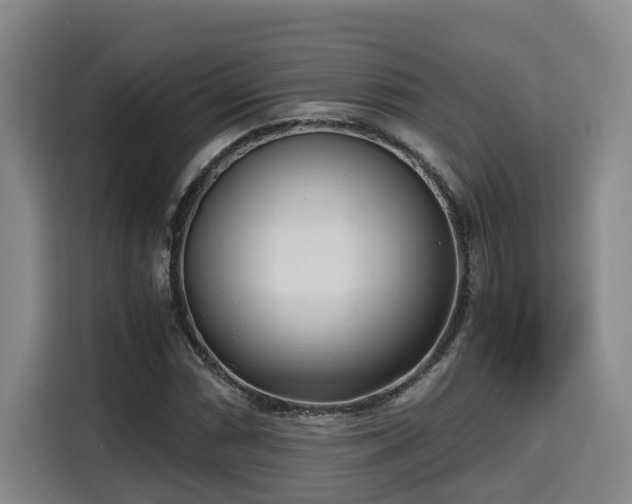 X0000115681066200911191049