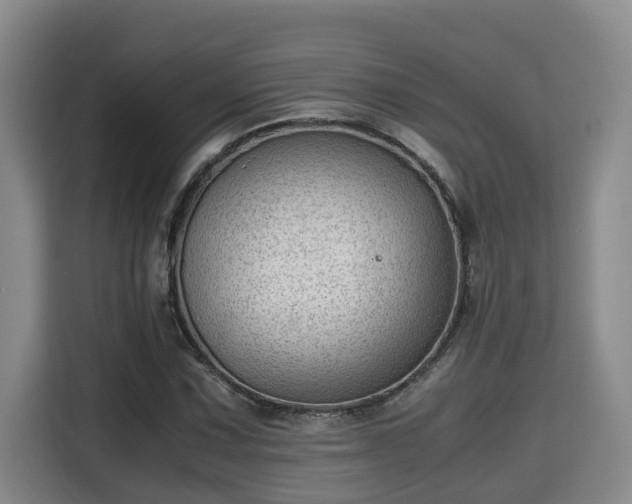 X0000115681067200911191049