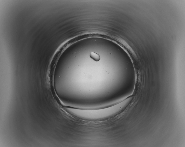 X0000115681068200911191049