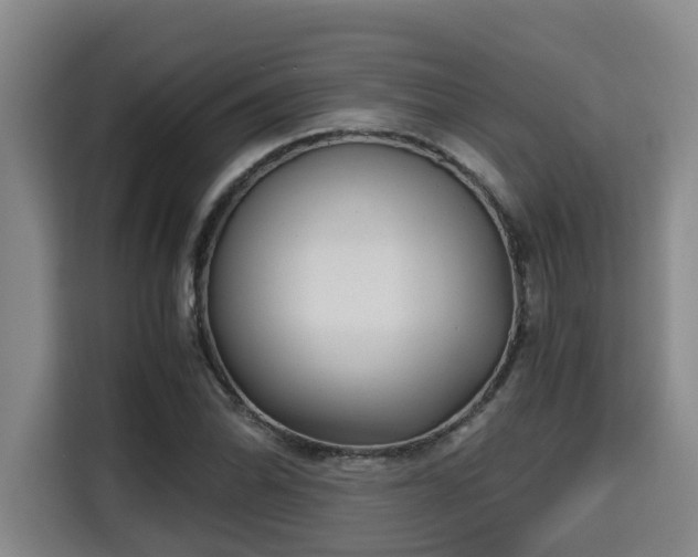 X0000115681070200911191049