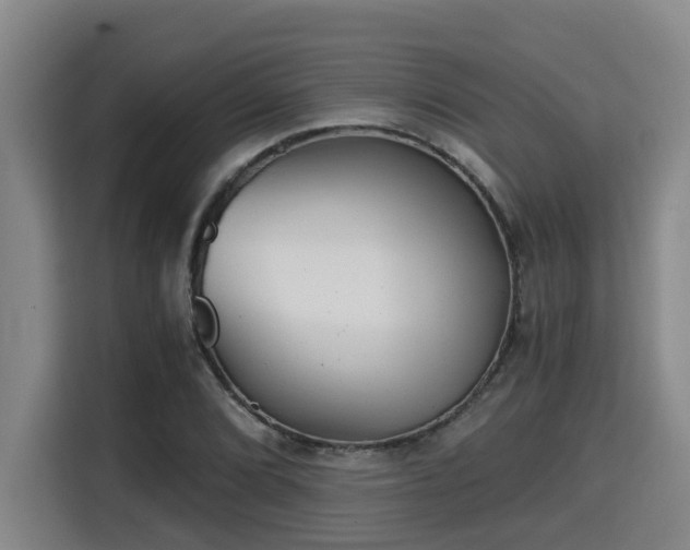 X0000115681072200911191049