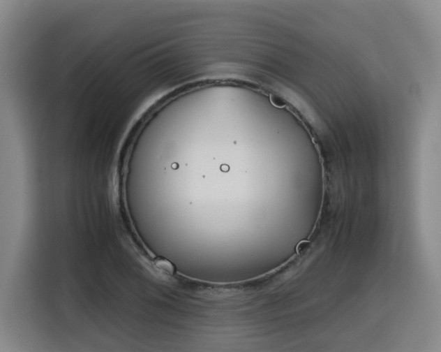 X0000115681076200911191049