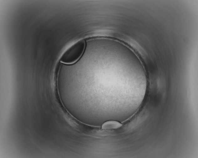 X0000115681077200911191049